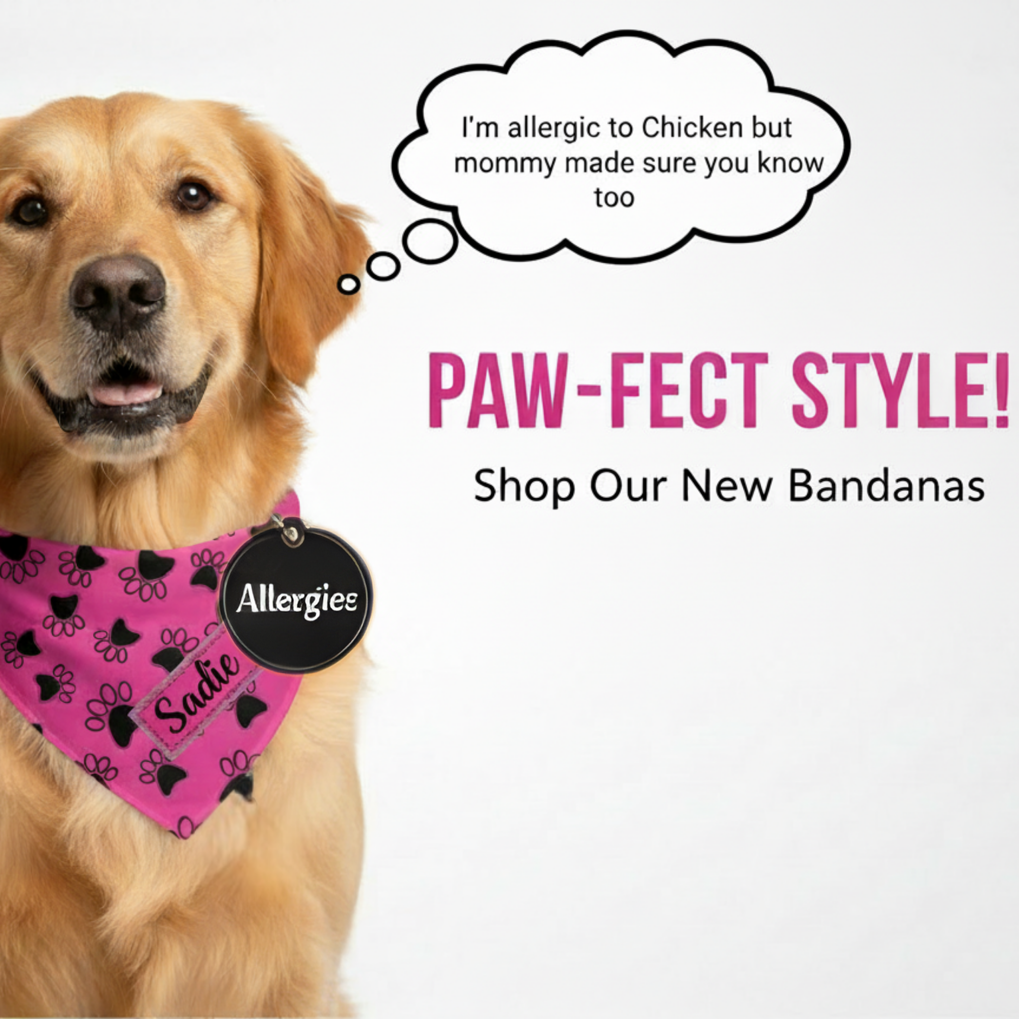 Dog wearing a pink bandana with text about allergies and a call to shop new bandanas.